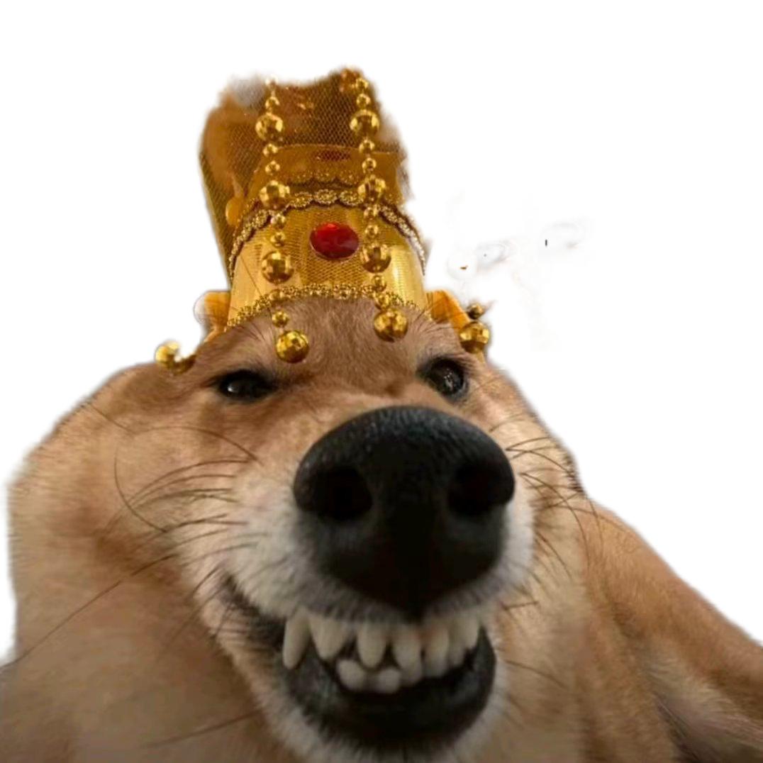 舒克