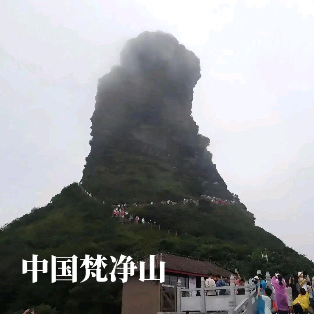 杨刚（蒋溪屯）🎤