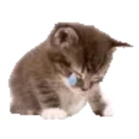 思追
