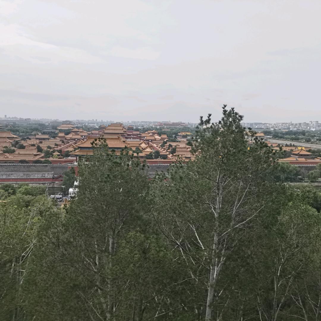 晓亮哥日常