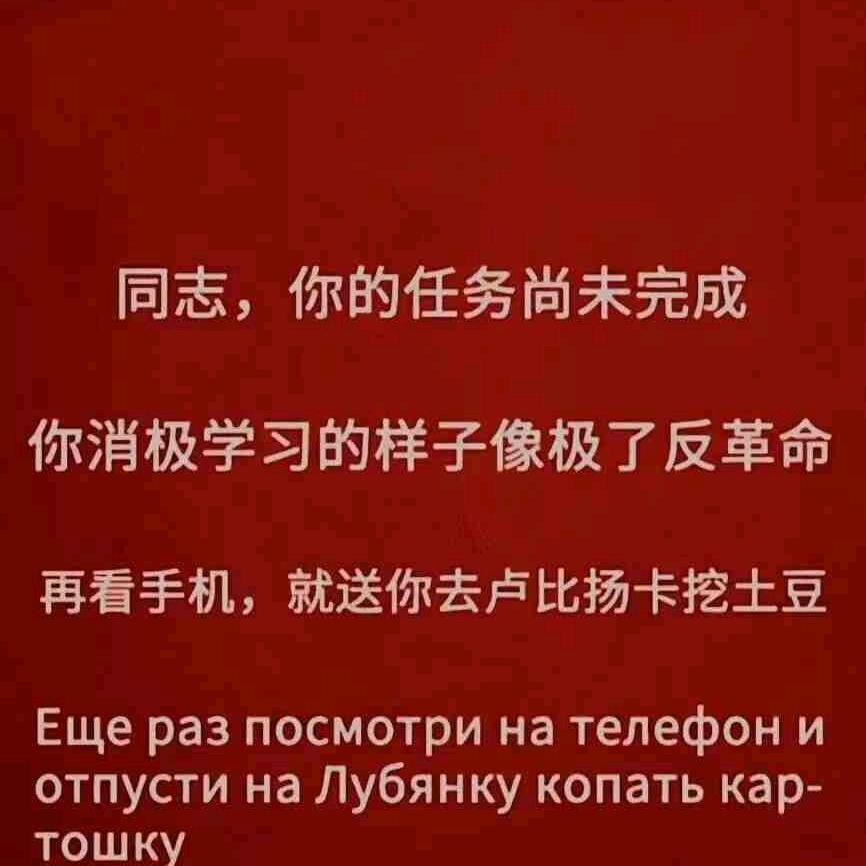 太阳不升我不生☀️