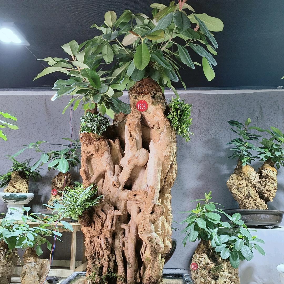 蒹葭花坊