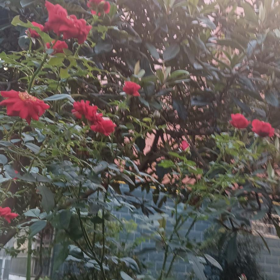 快乐的我