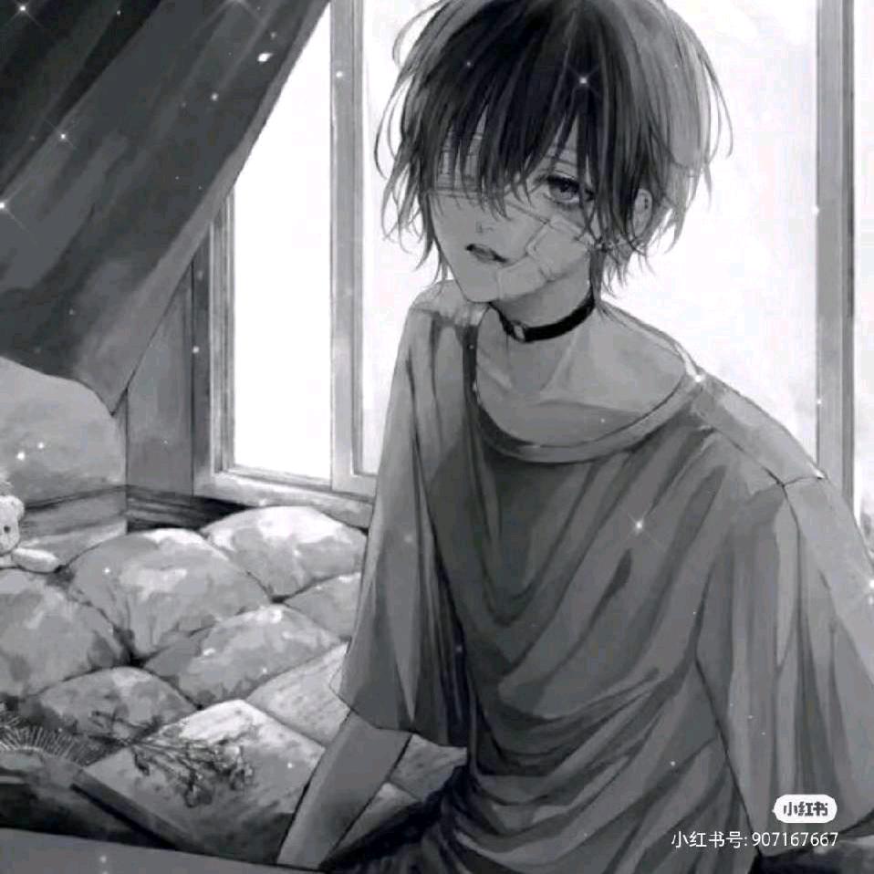 ﷼满眼都是娃娃﷼