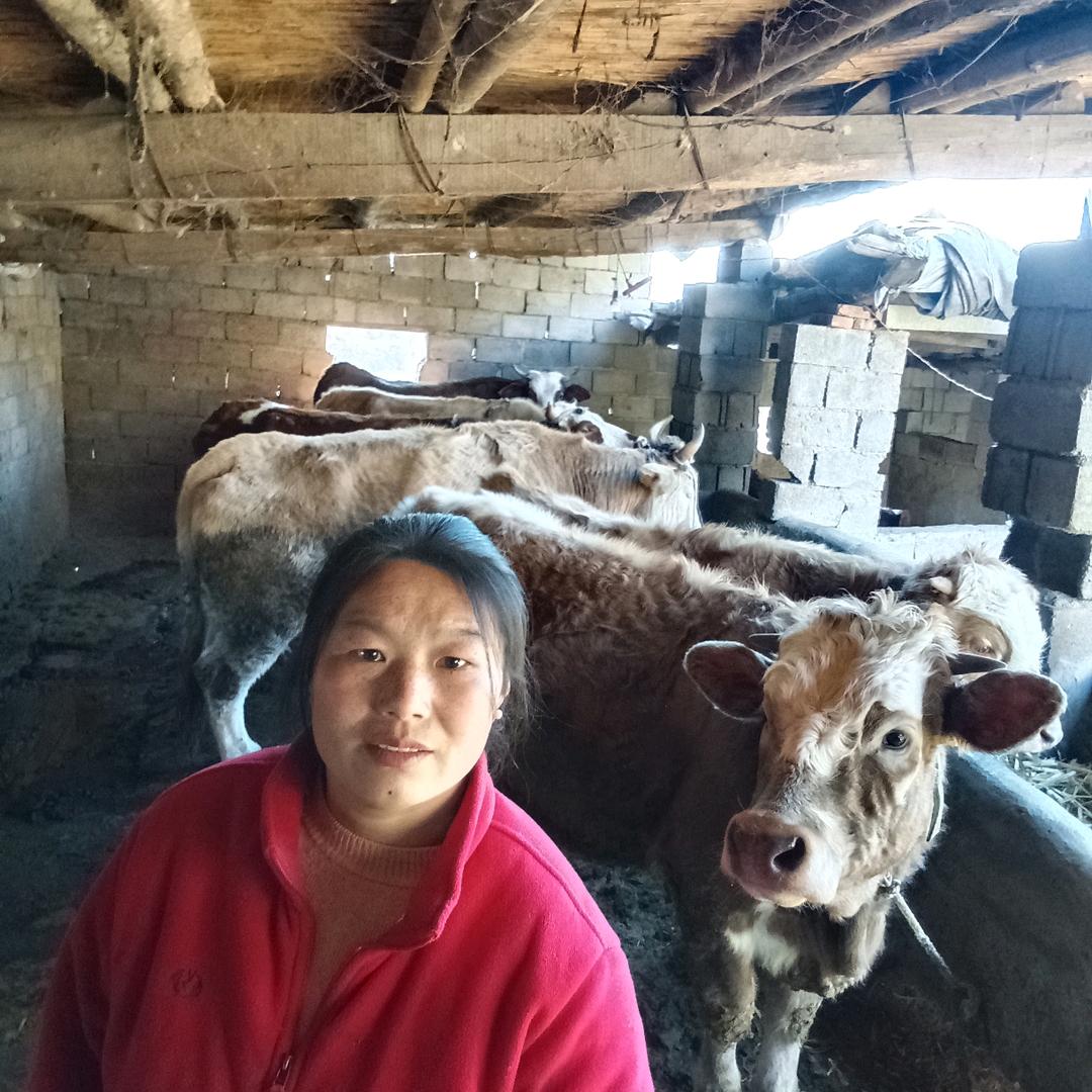 90后 燕子在家乡养殖
