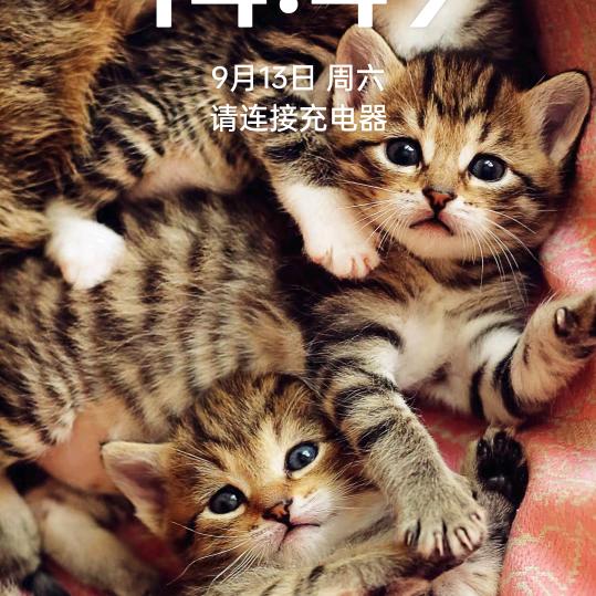 忠诚