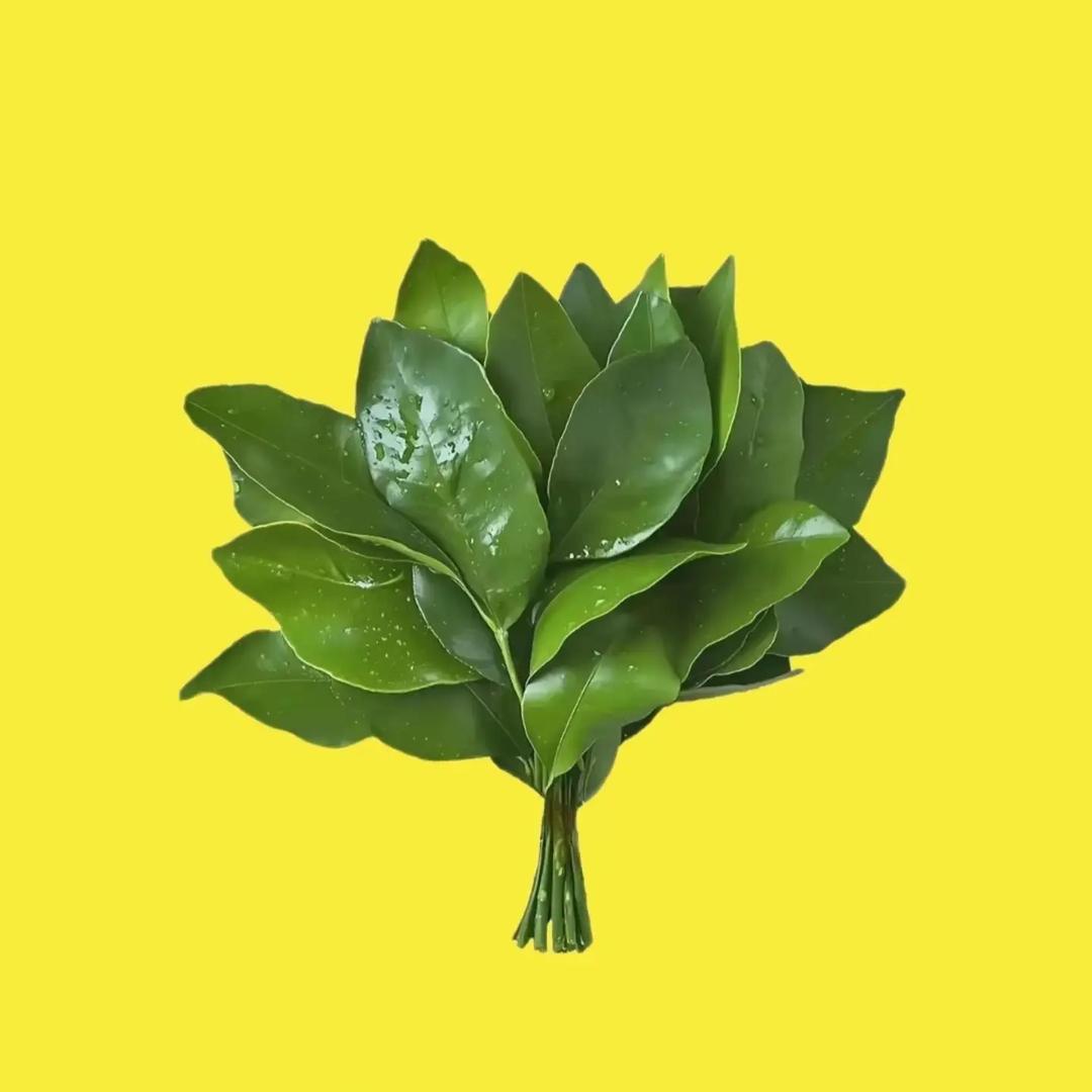 🇨🇳峰生水起