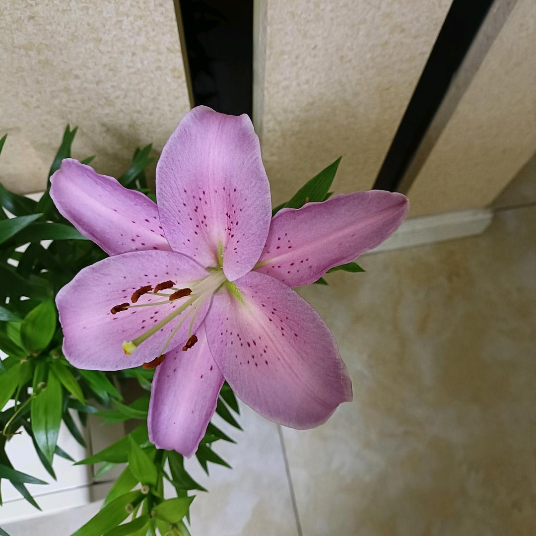 余生只为自己活