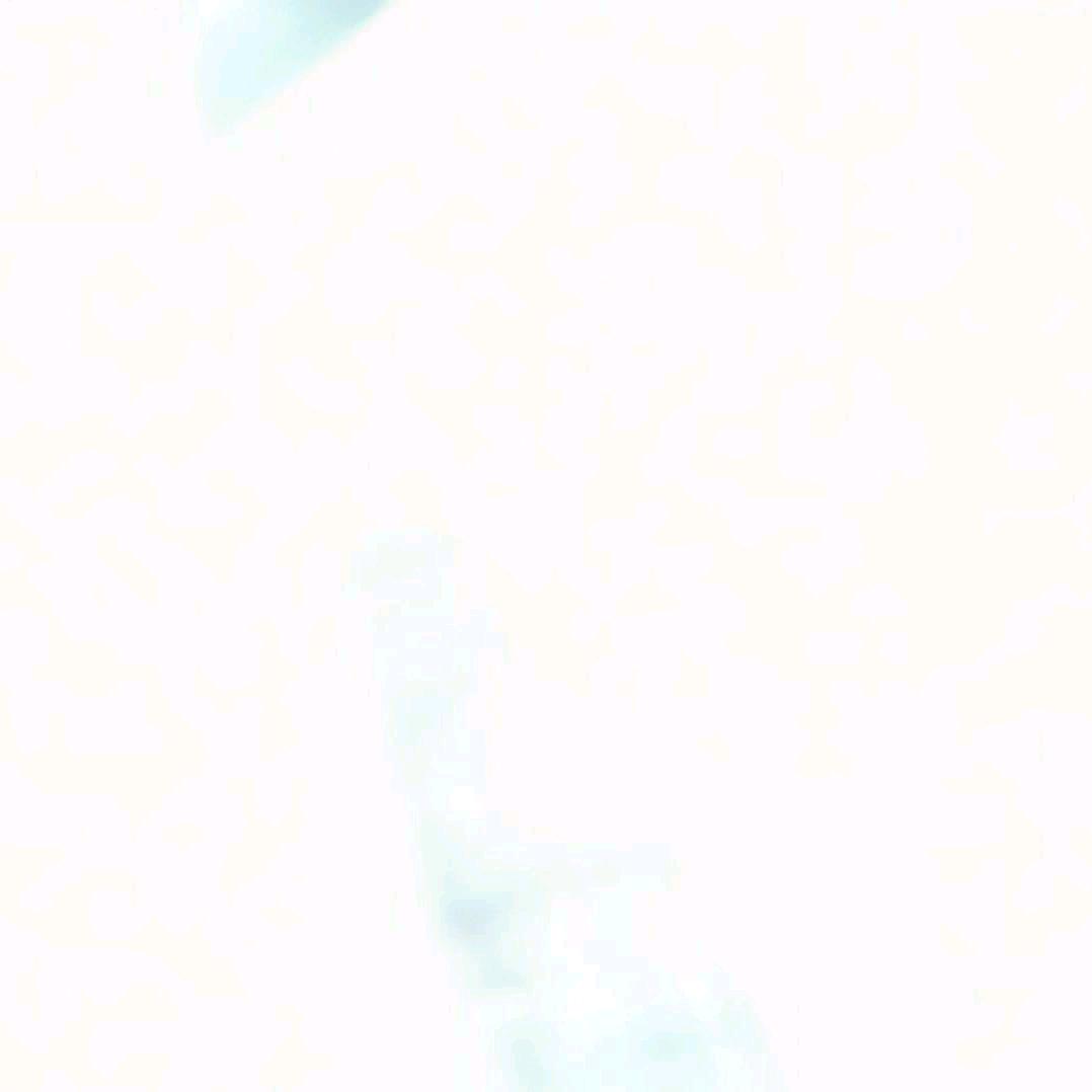 ZYB