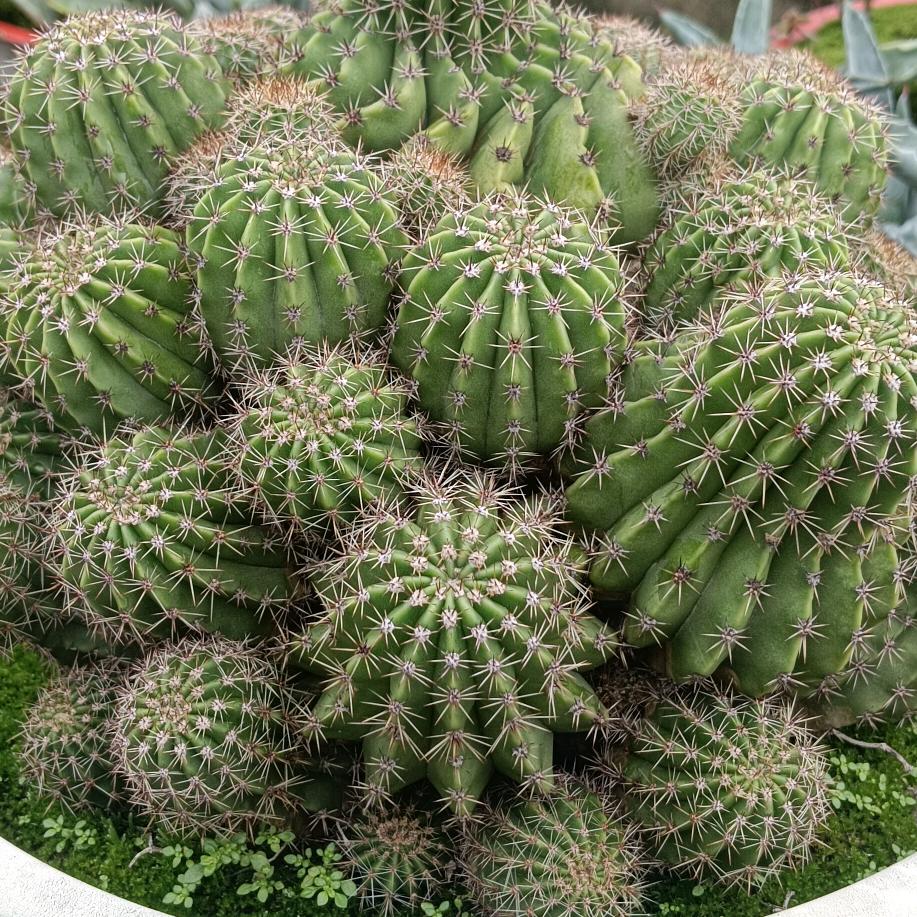 现在过一天算一天啊