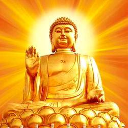 断🎈舍🎈离🎈