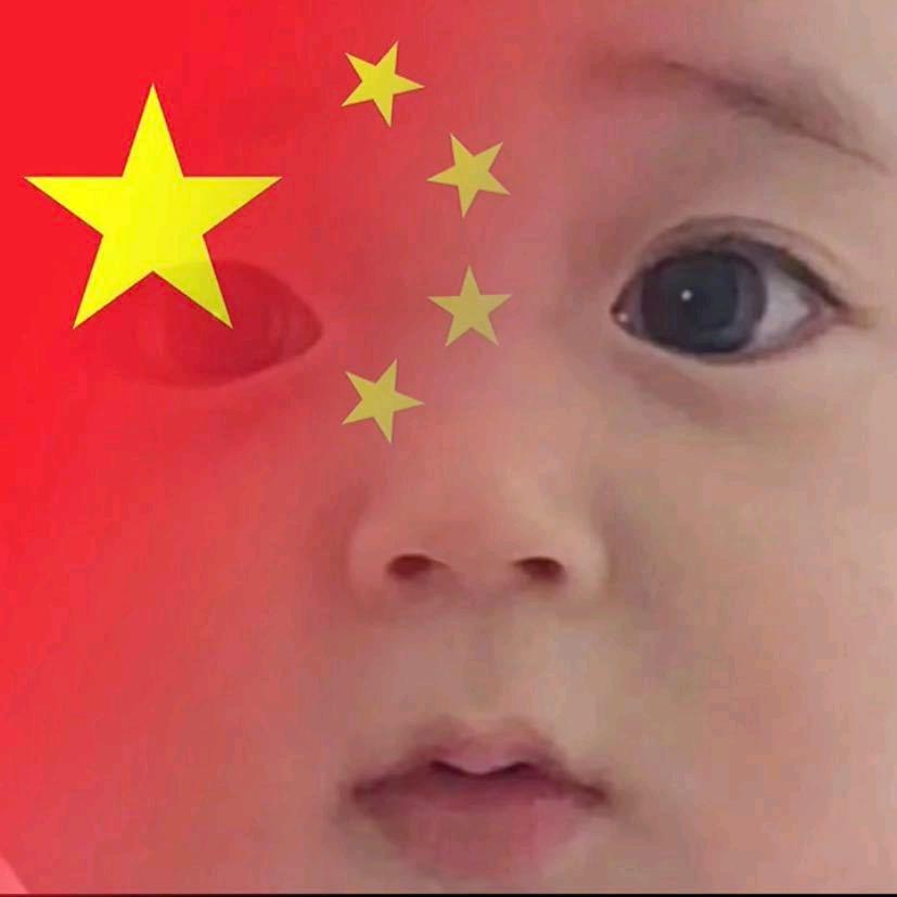 ⊱鱼  崽⊰