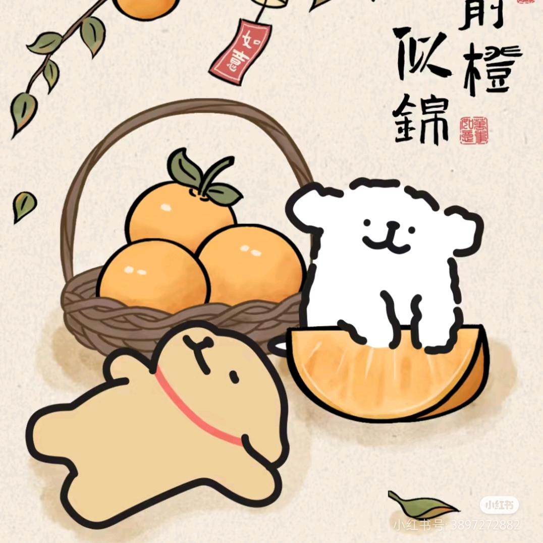 入冬的猫₍˄·͈༝·͈˄*₎◞ ̑̑