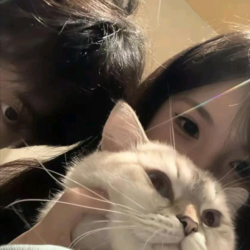 夕