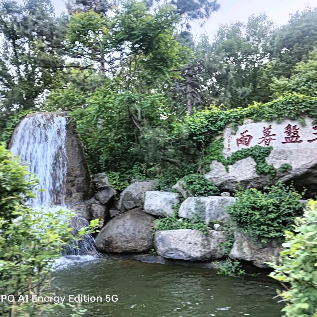 用户75431633岁月静好