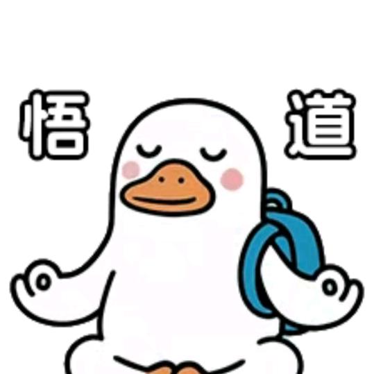 渡劫也是一种修行