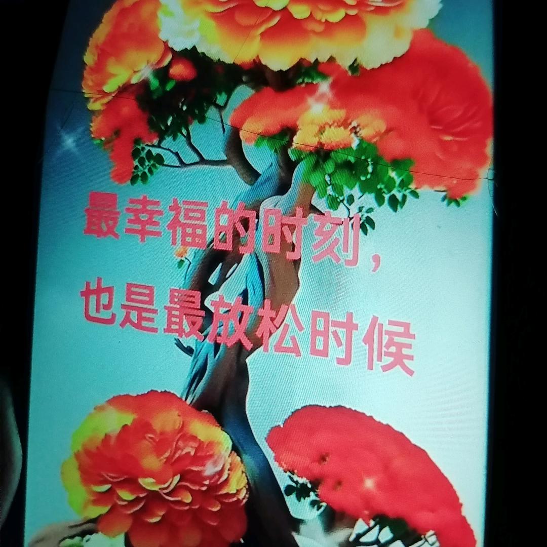 @一切随缘💘💘