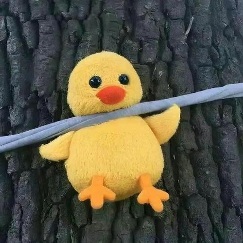 嘿;-)