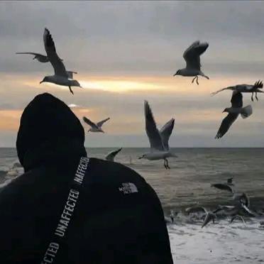 哑铃的健身日常