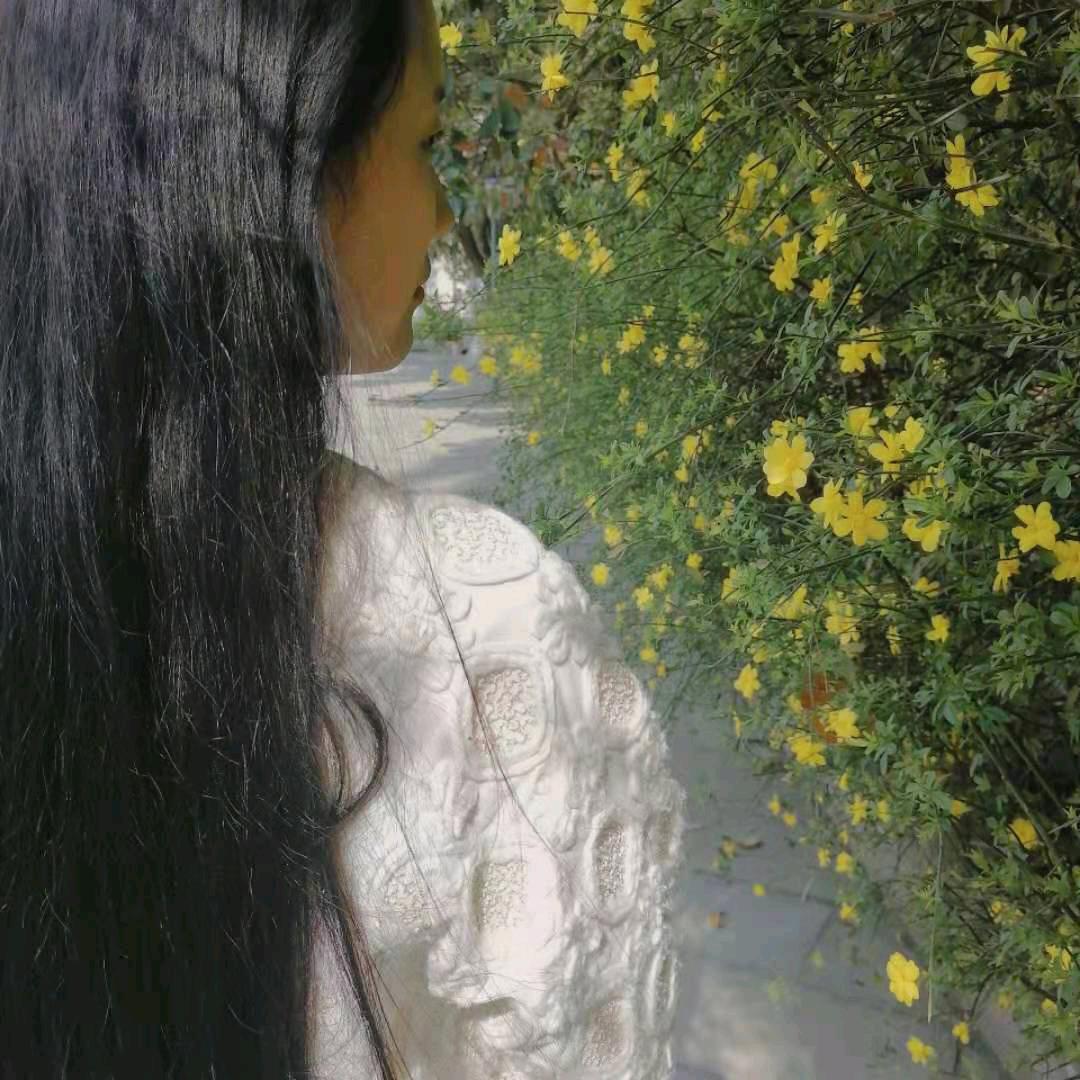 夏沫飞飞