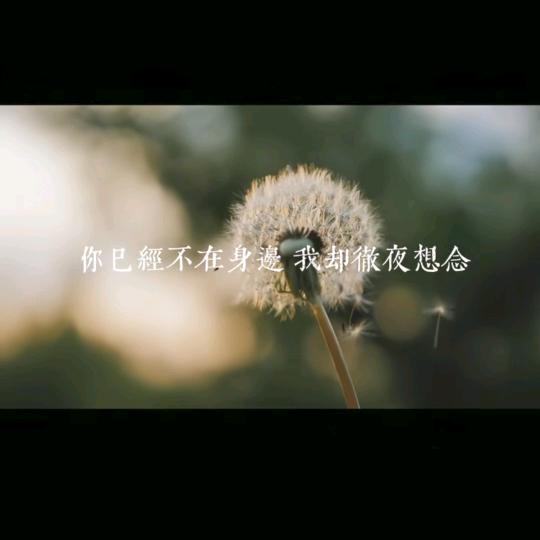 助