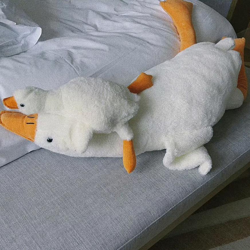 当橘者迷🐰🐻