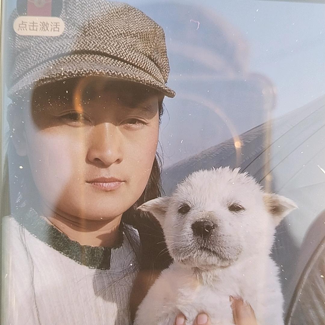 小壮松狮集结号