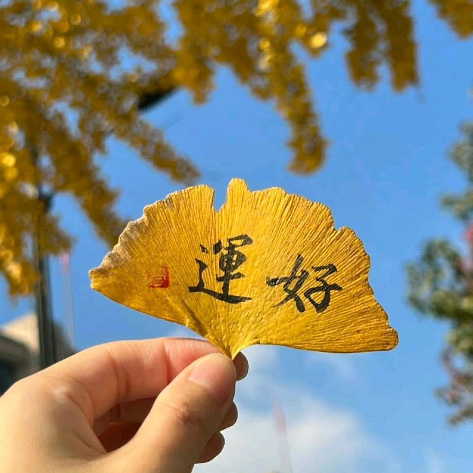 粒粒皆满🌾🌾