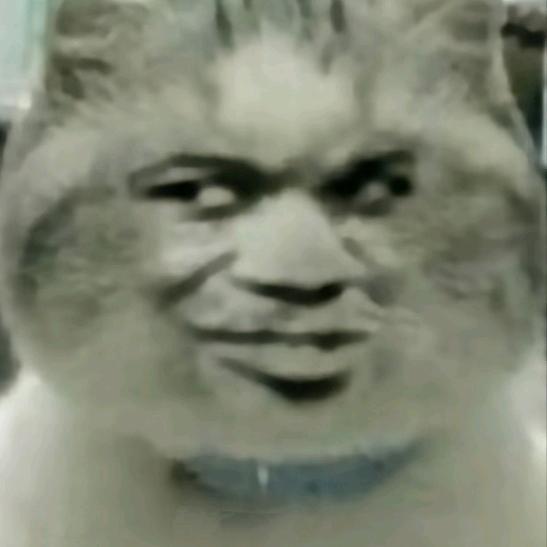 哞哞哞哞哞哞哞哞哞哞哞哞哞哞哞哞哞哞哞哞