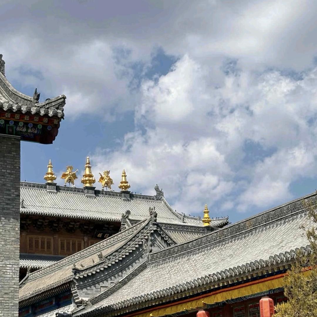 ༺💰不发胖໊ཀྃ只发财