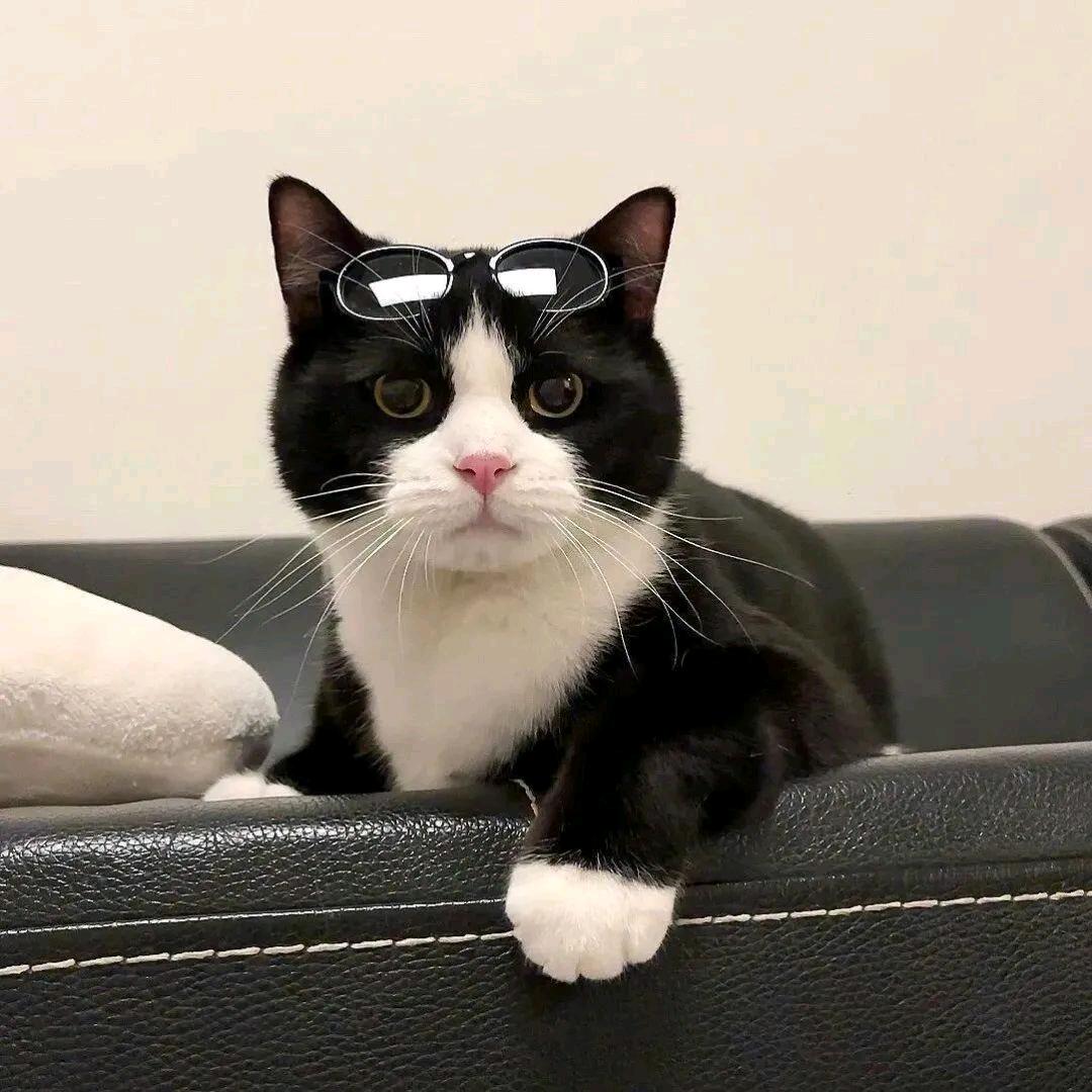 小小生