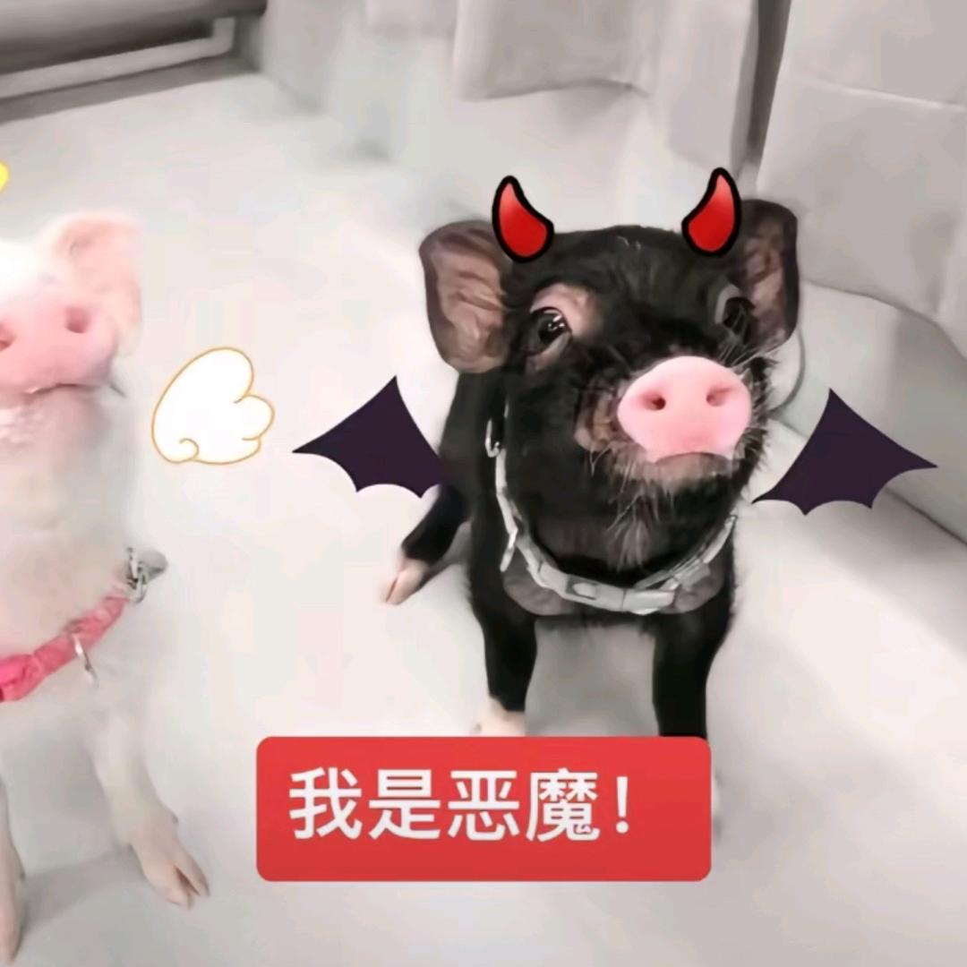 侠克
