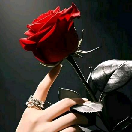 ✨𝓐𝓶𝓲𝓷𝓐✨