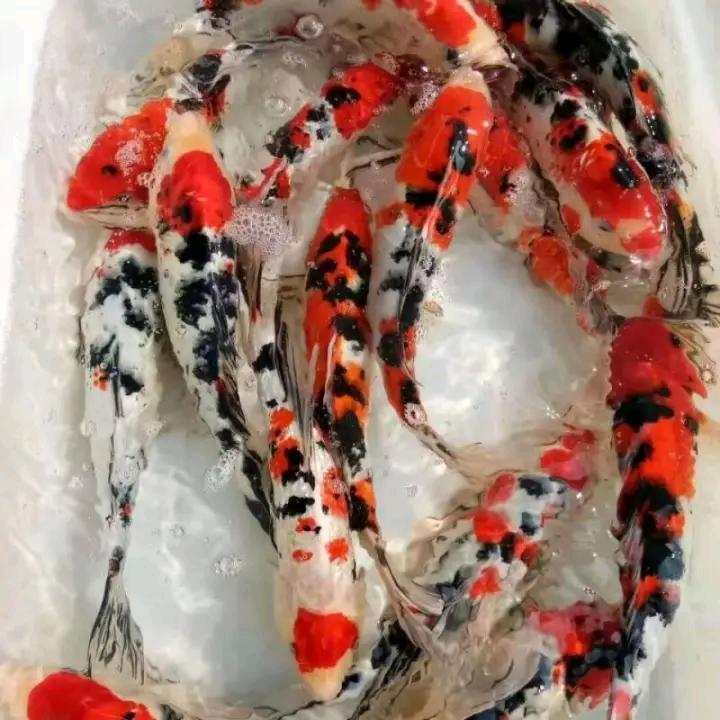 相信自己