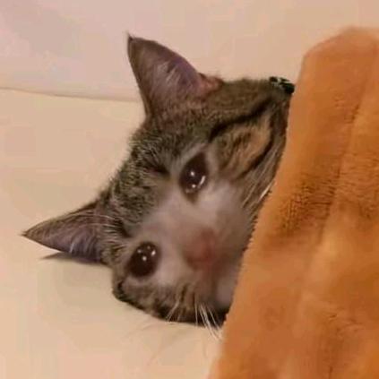 小萱