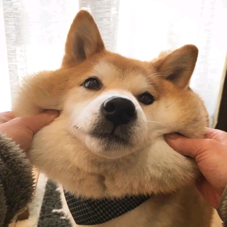 爱生活的朔朔