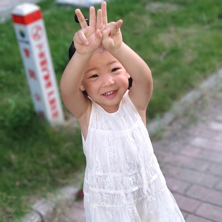 有李说不清