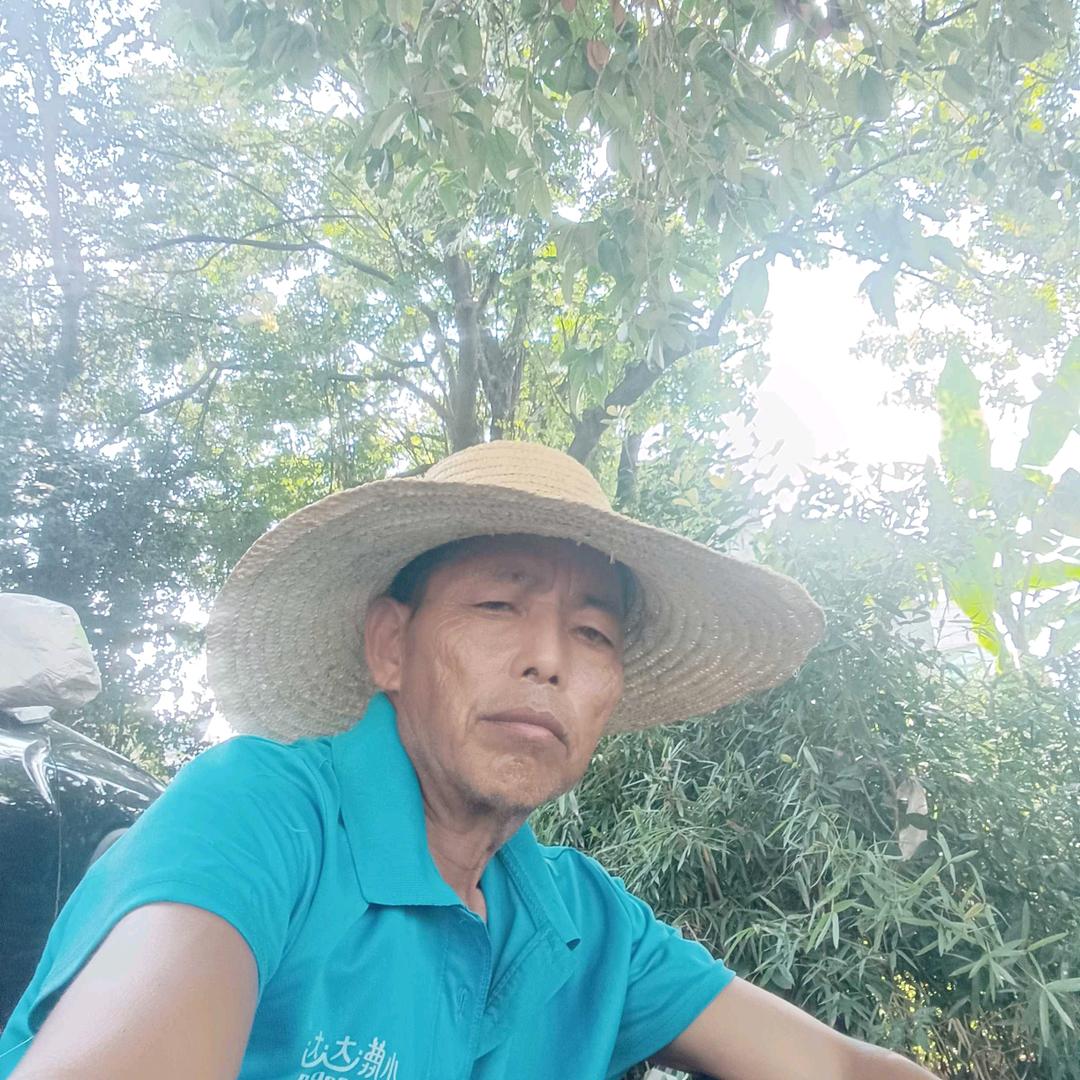 蒙中鲜花-