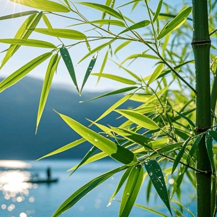听远方有你