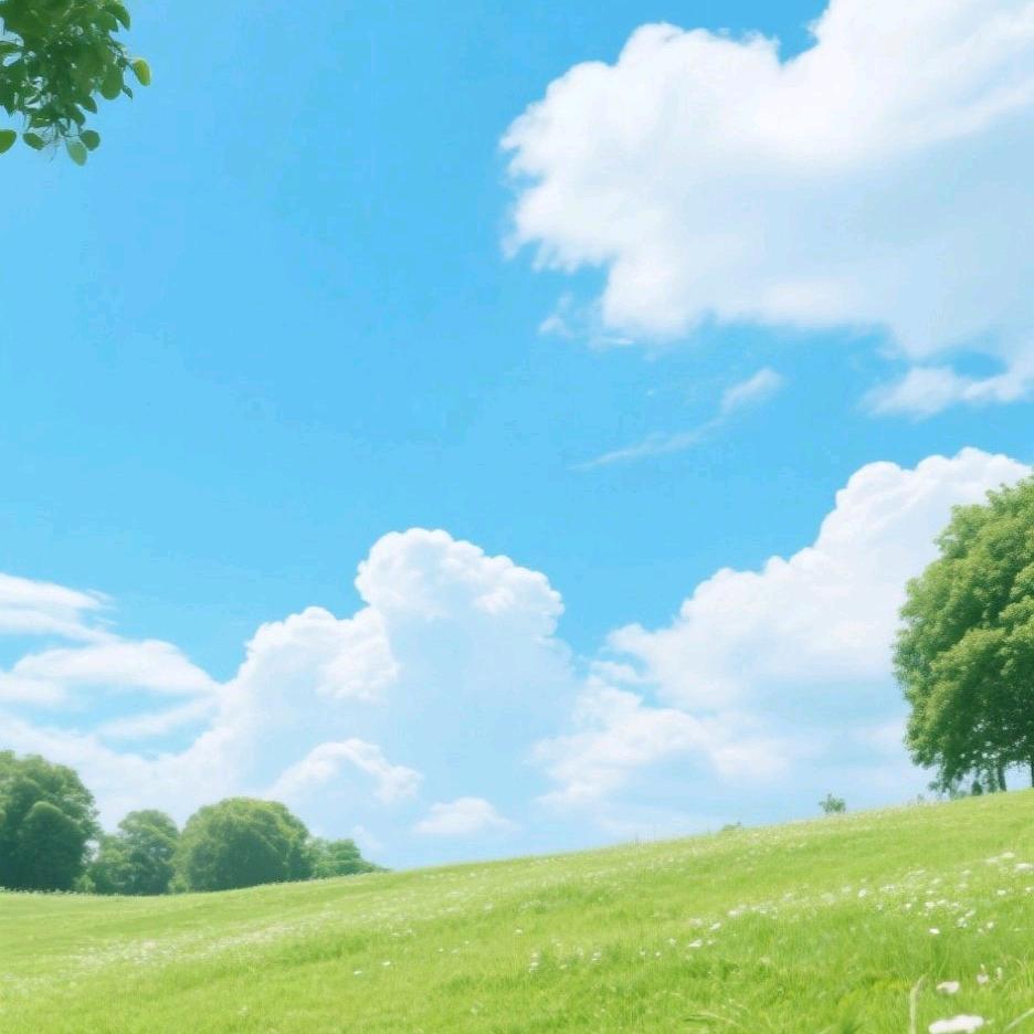 碧云轩书法