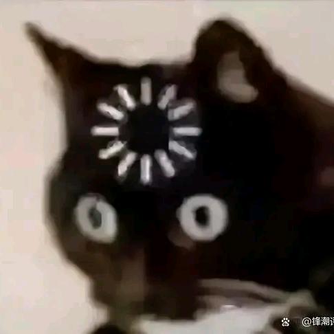 玛丽豪