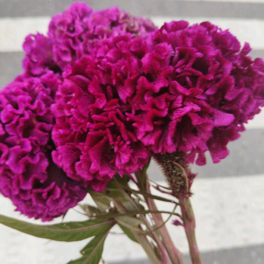 @微笑。。