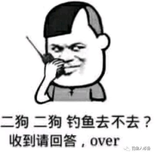 钓鱼佬无心