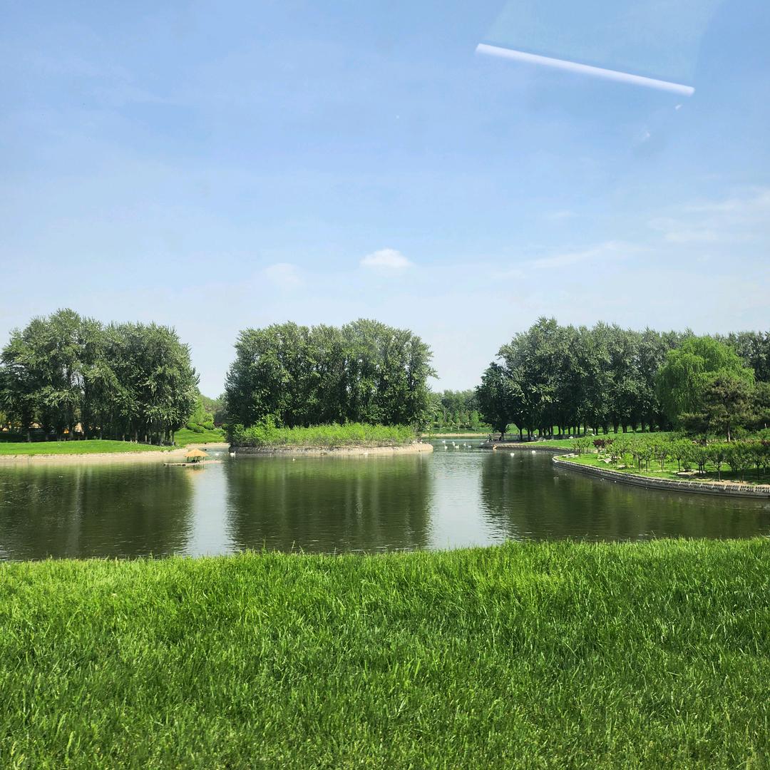 ₍˄·͈༝·͈˄*₎◞ ̑̑张家大小姐