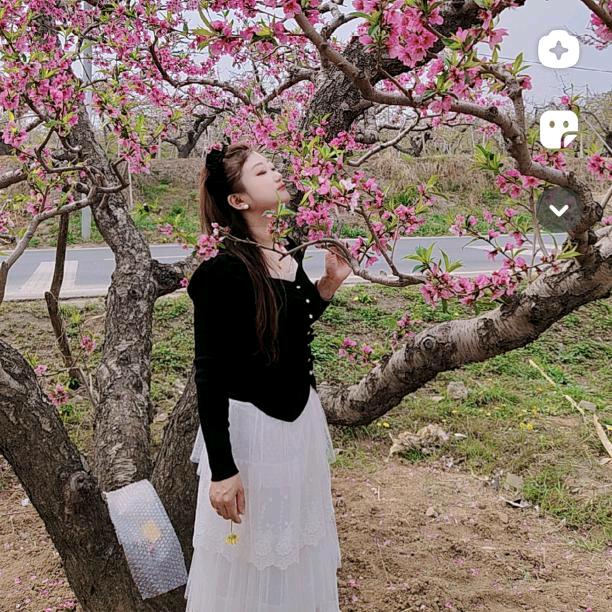李白酒业