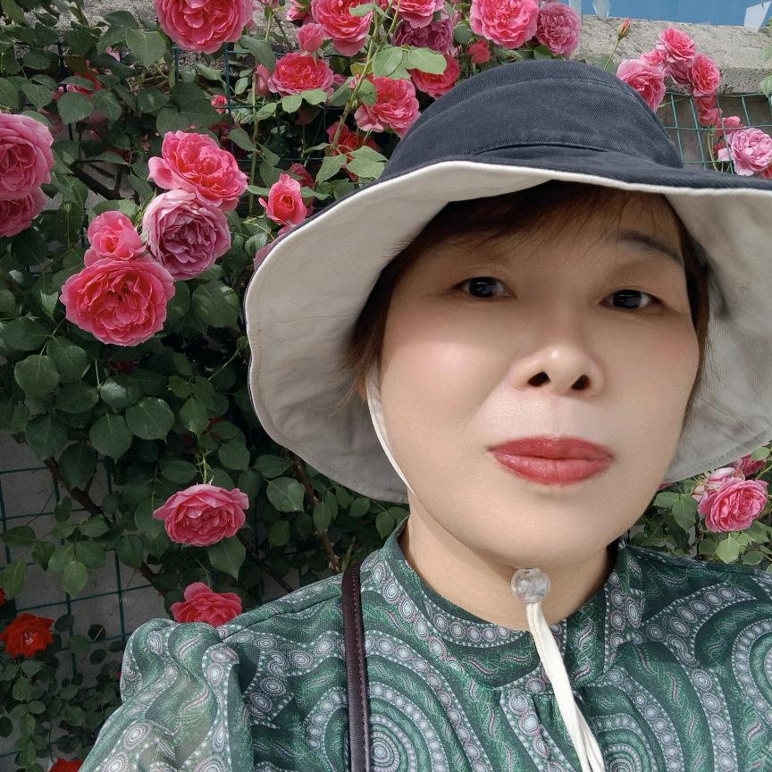 展翅飞翔