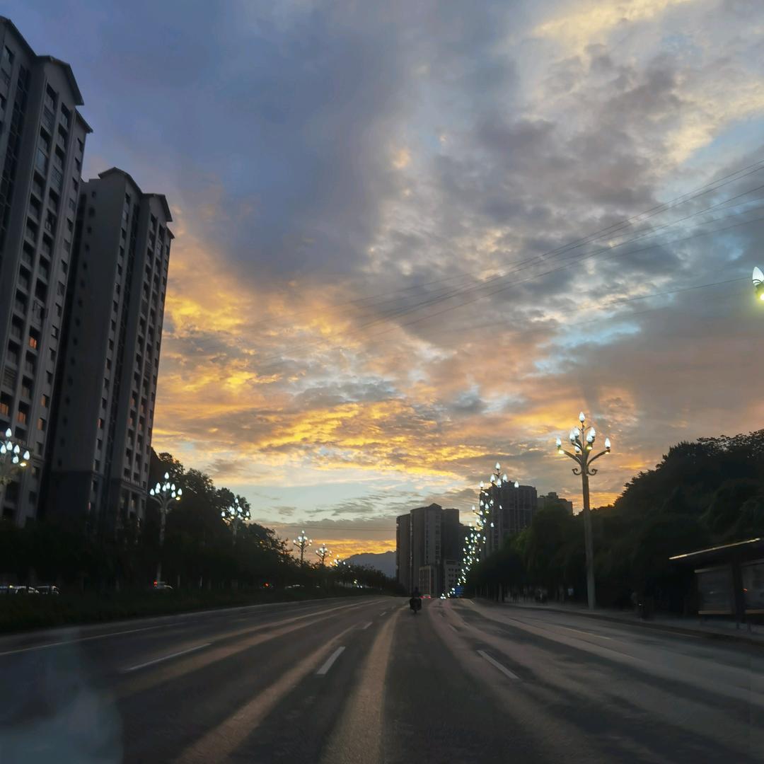龙南柒