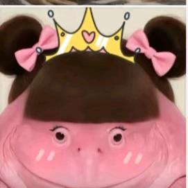 他们姓张 😍