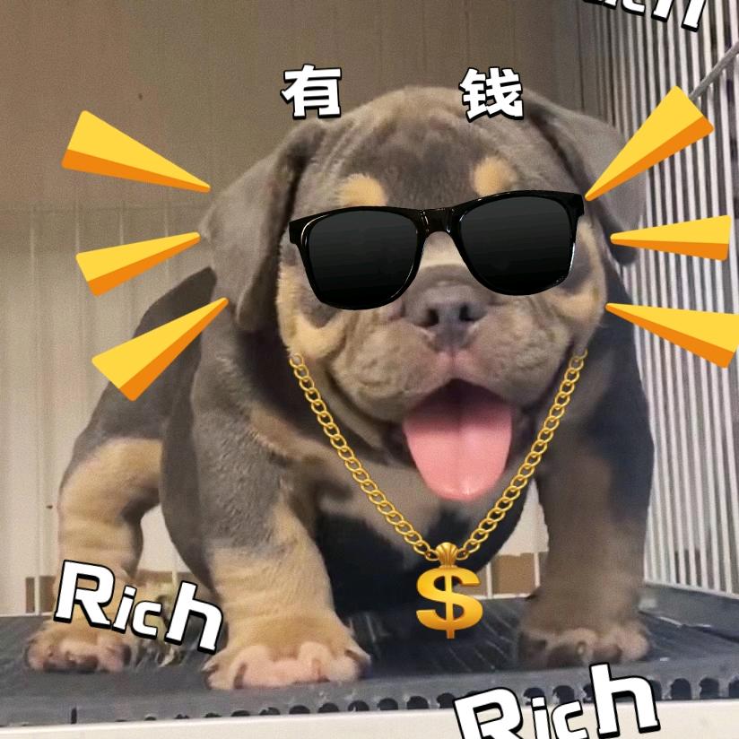 大连山鬼🇨🇳Bully