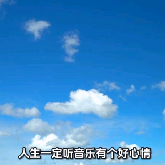 金枝玉叶